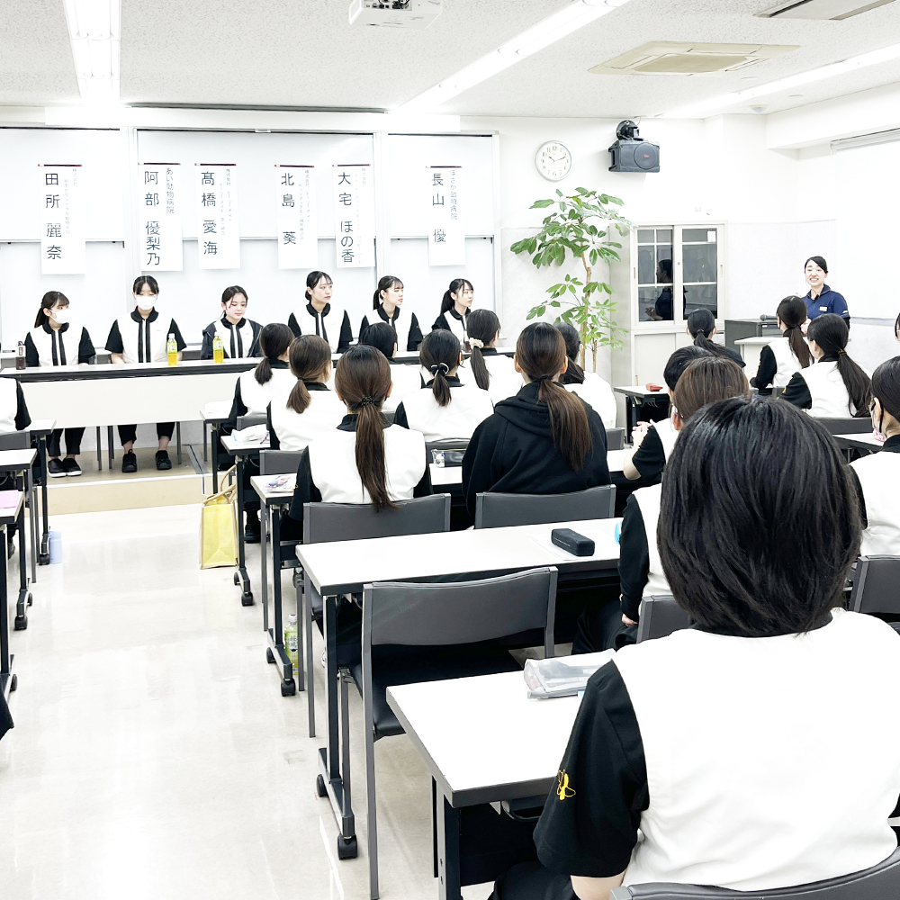 ☆就職活動報告会☆